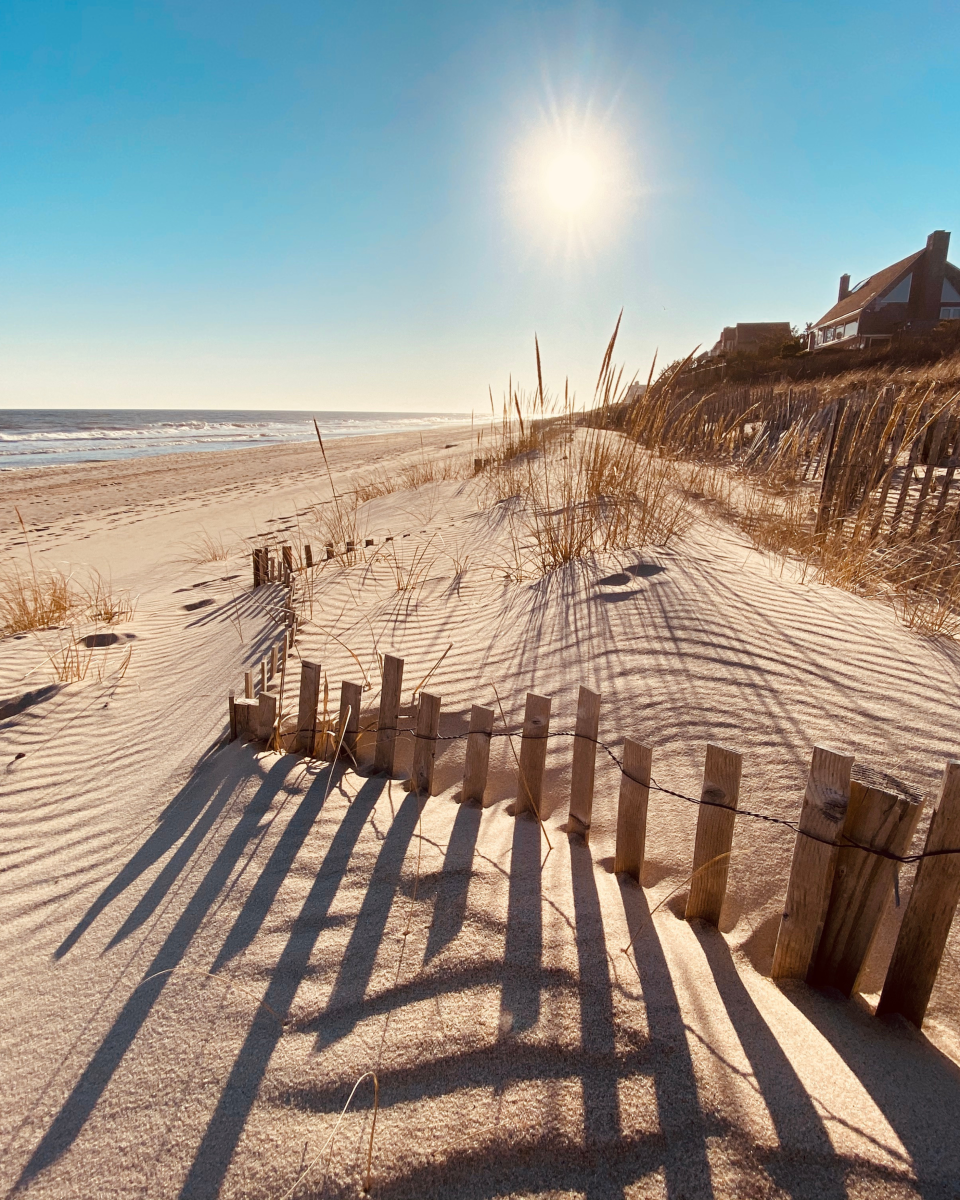 The Hamptons 2025